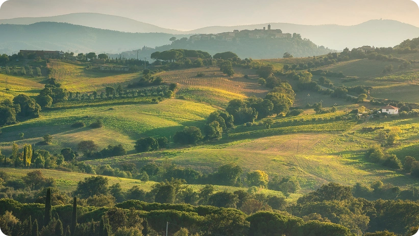 Vista panoramica della campagna toscana con colline verdi ondulate, vigneti, cipressi e affascinanti poderi rurali sotto la luce dorata del sole.